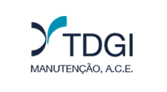 Tdgi 1